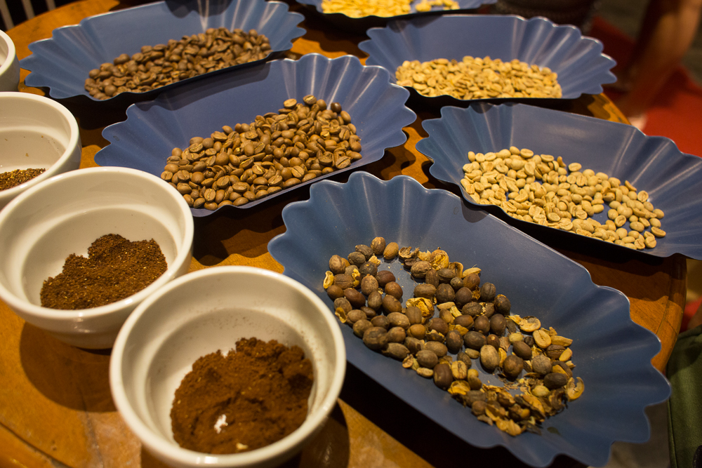 Coffee beans at different stages of being processed.